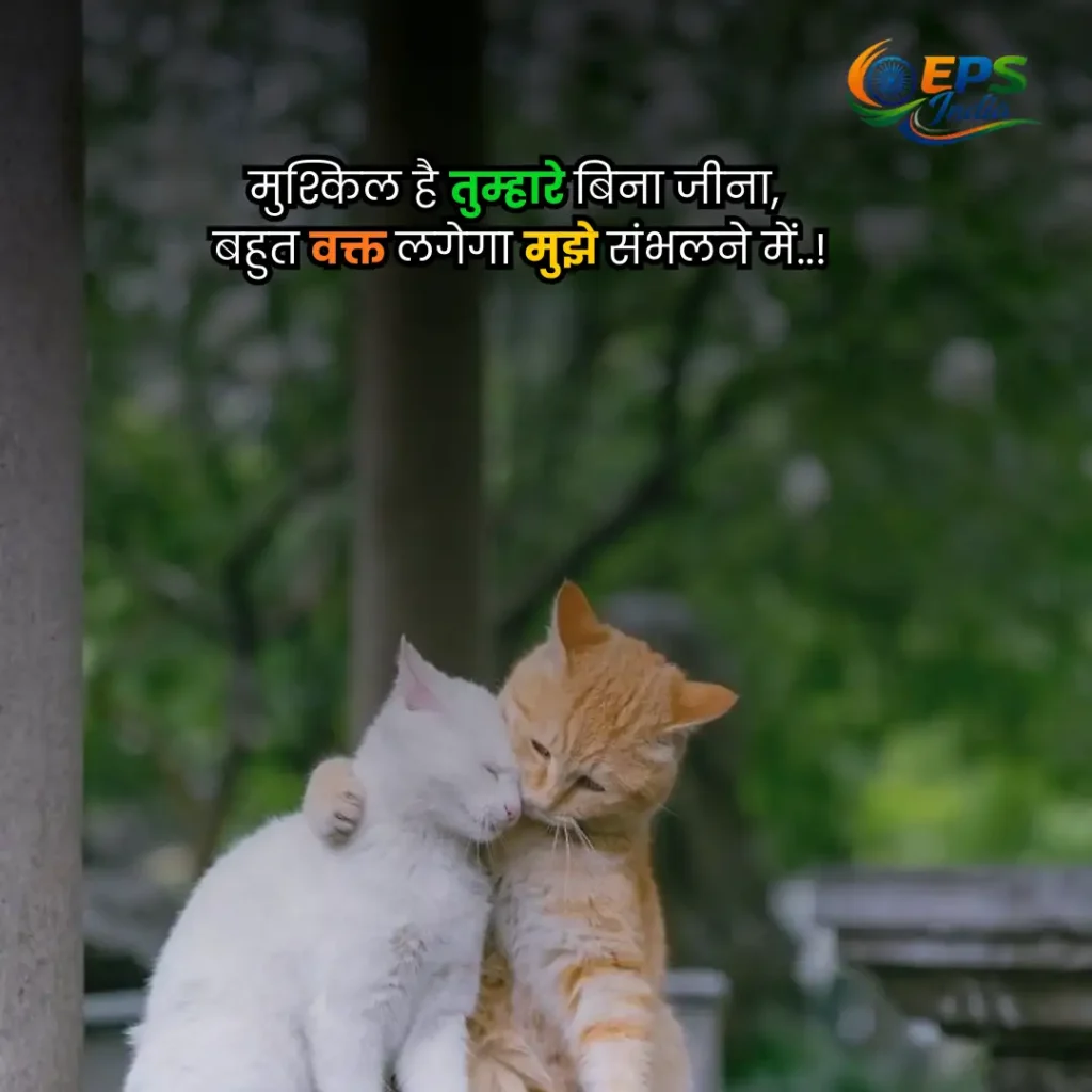 2 line love shayari 