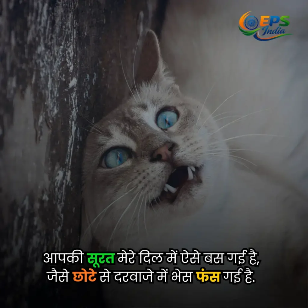 funny shayari