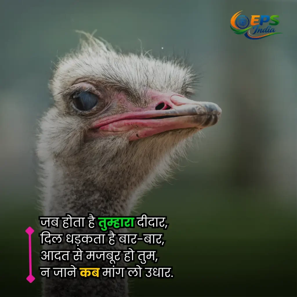 funny shayari