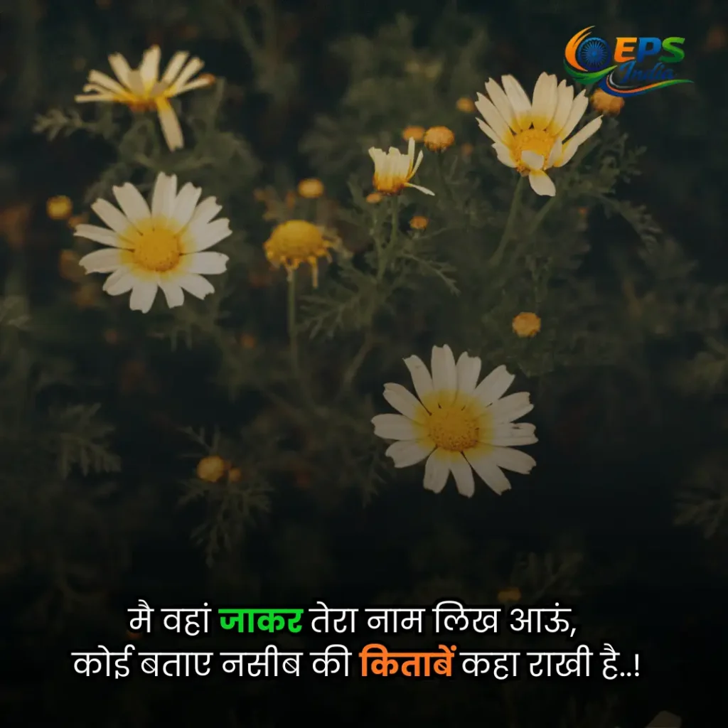 hindi shayari