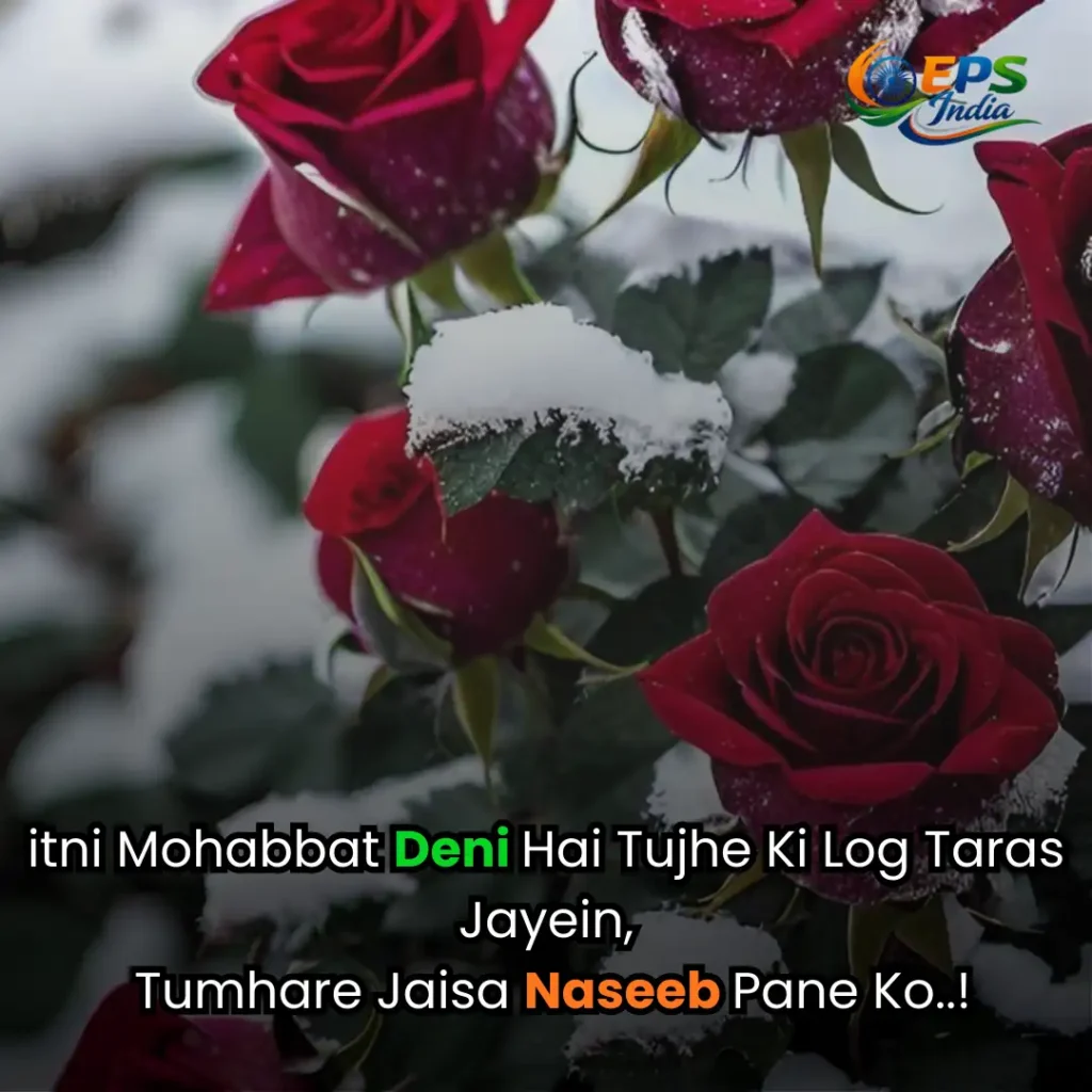 love shayari in english 